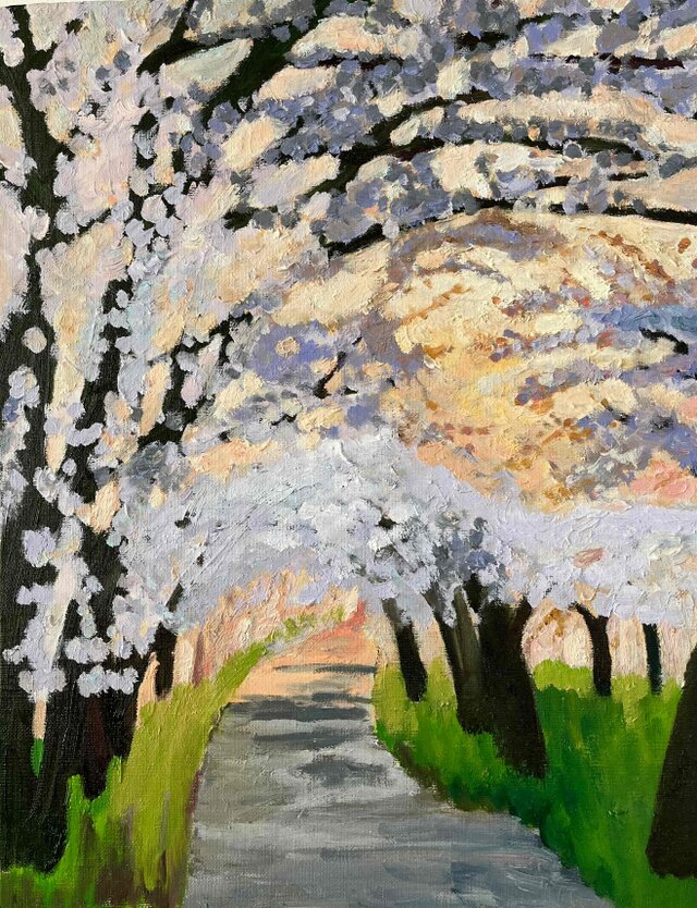 油彩画 「朝の桜　20262」｜アート 絵画 原画 32×41cm F6 油彩画 「朝の桜 20262」｜アート 絵画 原画 32×41cm F6 キャンバス
