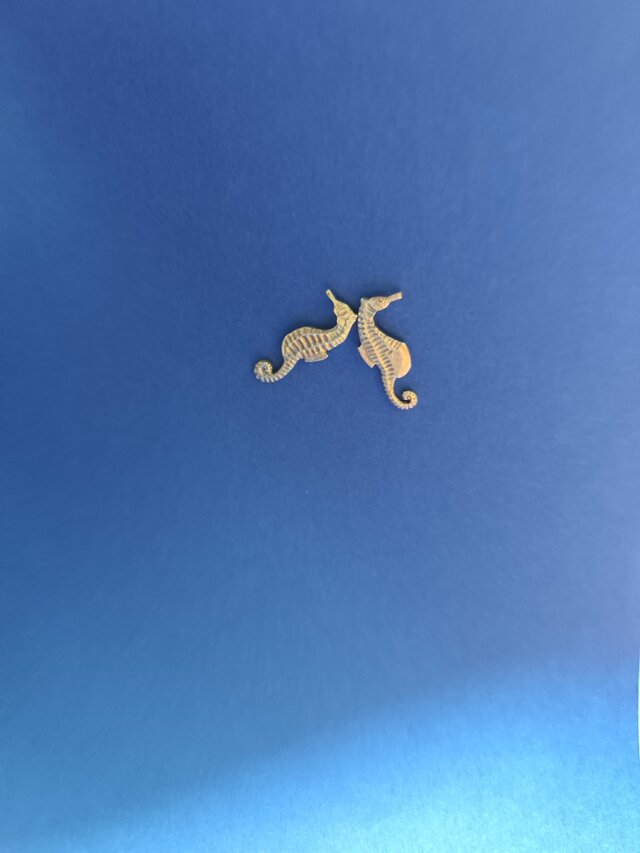 タツノオトシゴ | iichi 日々の暮らしを心地よくするハンドメイドや