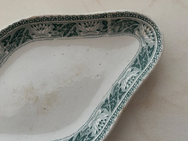 TERRE DE FER テールドフェール 上品で美しいグリーンのラヴィエ