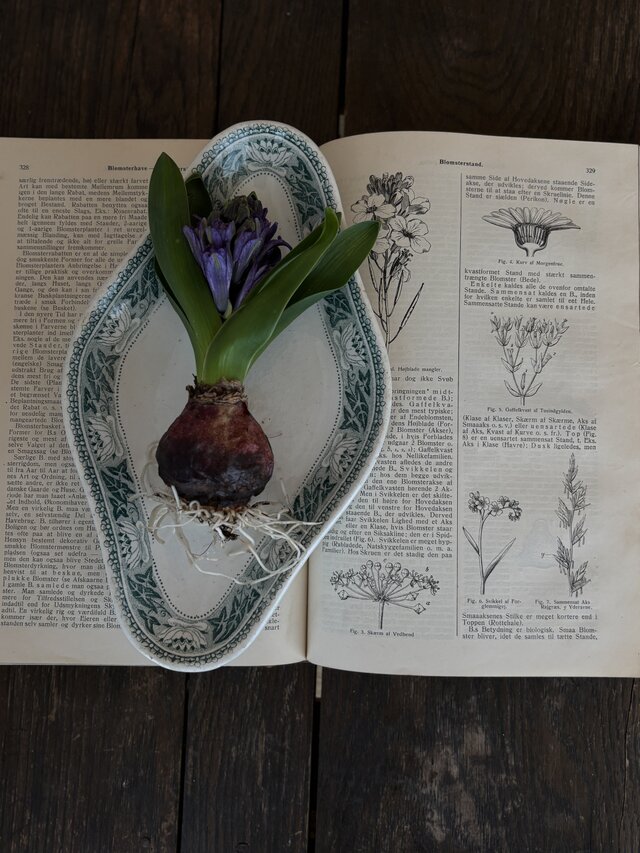 TERRE DE FER テールドフェール 上品で美しいグリーンのラヴィエ