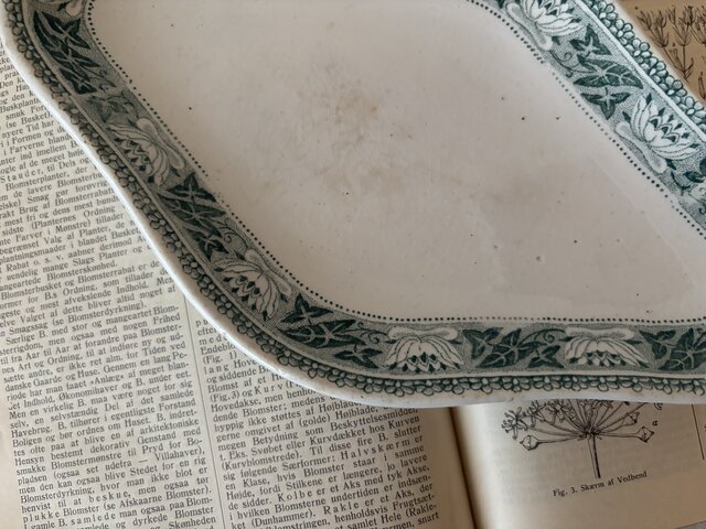 TERRE DE FER テールドフェール 上品で美しいグリーンのラヴィエ