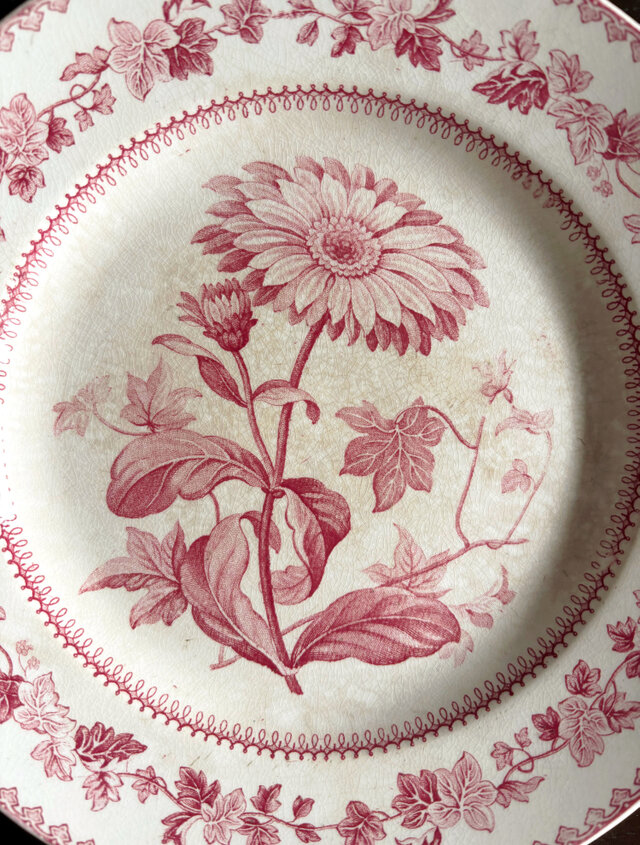 Creil クレイユ 平皿 植物柄 20.5cm フランス アンティーク b 0502341