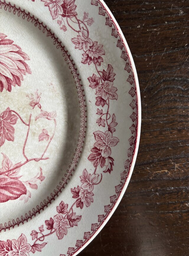 Creil クレイユ 平皿 植物柄 20.5cm フランス アンティーク b 0502341