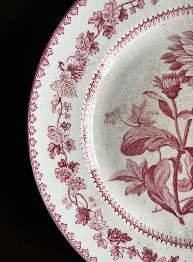 Creil クレイユ 平皿 植物柄 20.5cm フランス アンティーク b 0502341