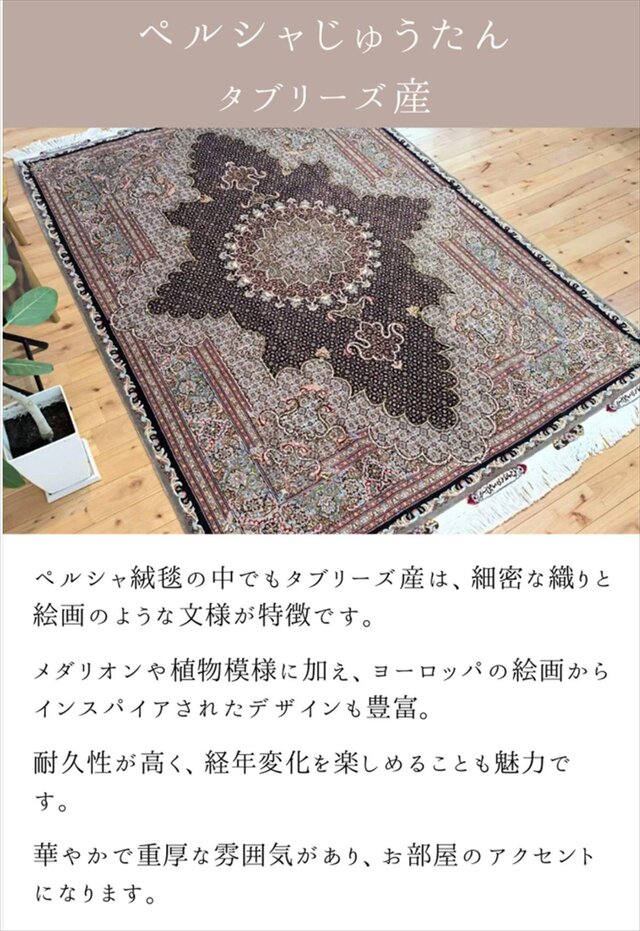 ペルシャ絨毯タブリーズ産 マヒデザイン 50RAJ ウール&シルク 210x155