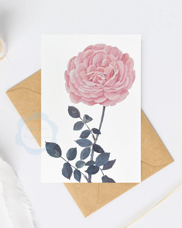 薔薇の花のイラストポストカード 10 枚セット | iichi 日々の暮らしを