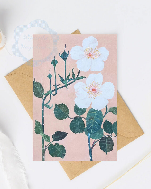 薔薇の花のイラストポストカード 10 枚セット | iichi 日々の暮らしを