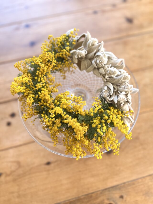 ミモザとラムズイヤー | iichi 日々の暮らしを心地よくする