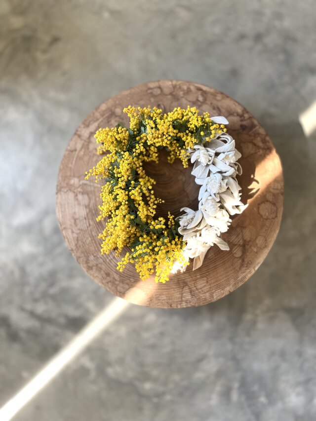 ミモザとラムズイヤー | iichi 日々の暮らしを心地よくする