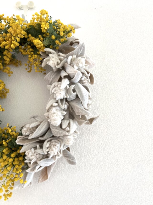 ミモザとラムズイヤー | iichi 日々の暮らしを心地よくする