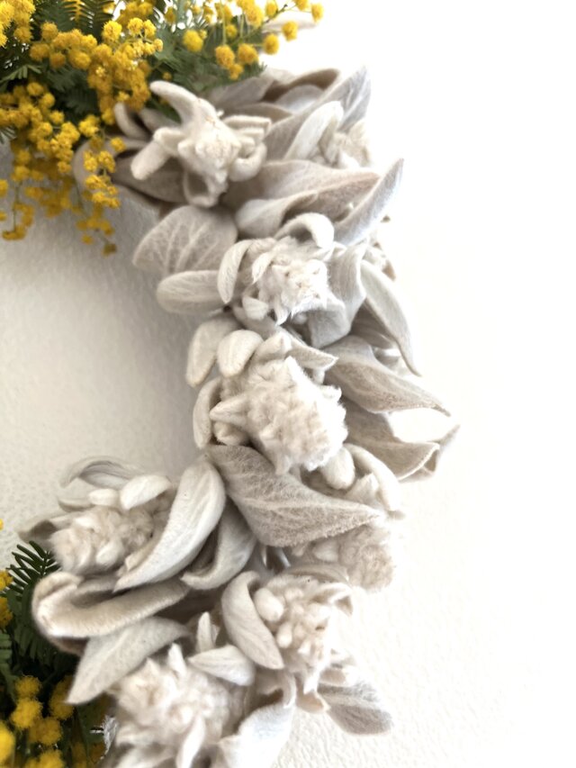 ミモザとラムズイヤー | iichi 日々の暮らしを心地よくする