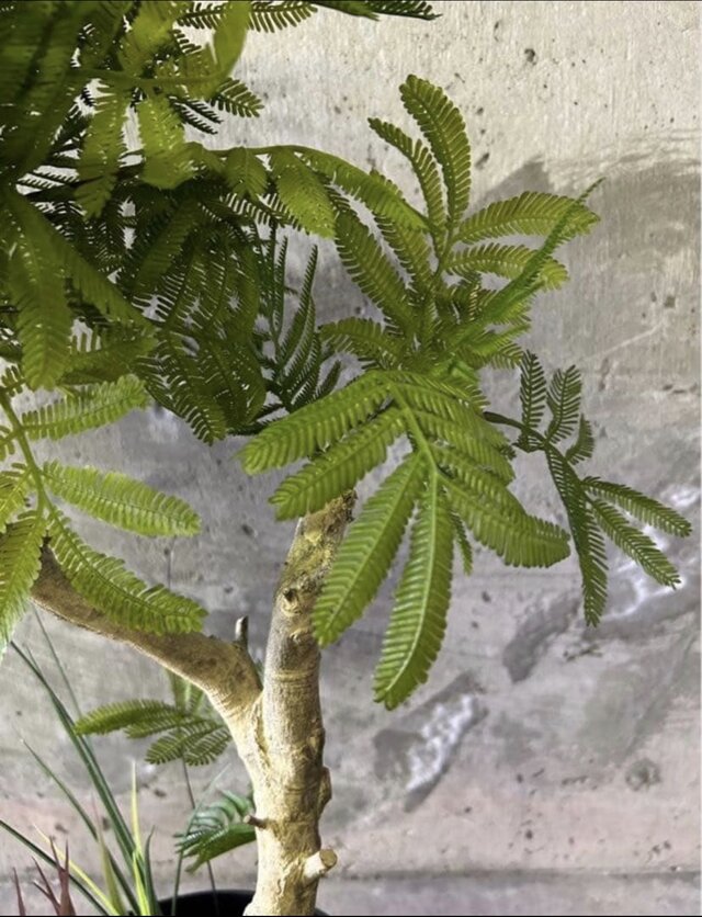 光触媒 人工観葉植物 ウォールグリーン フェイクグリーン