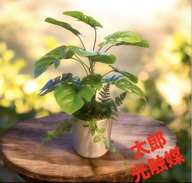 光触媒 人工観葉植物 ウォールグリーン フェイクグリーン モンステラ