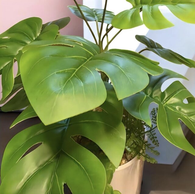 光触媒 人工観葉植物 ウォールグリーン フェイクグリーン モンステラ