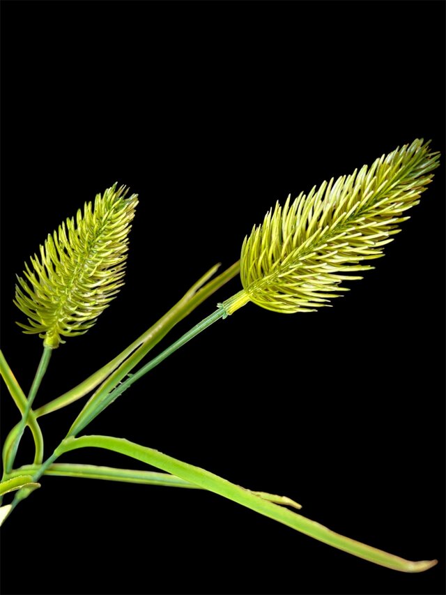 光触媒 人工観葉植物 ウォールグリーン フェイクグリーン マジカル