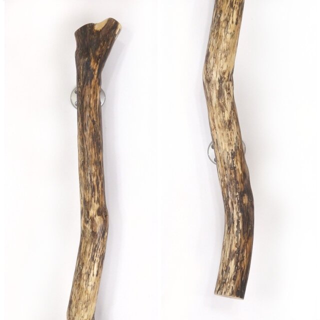 温泉流木】枝分かれ色素残る流木のドアハンドル・手すり 木製 自然木