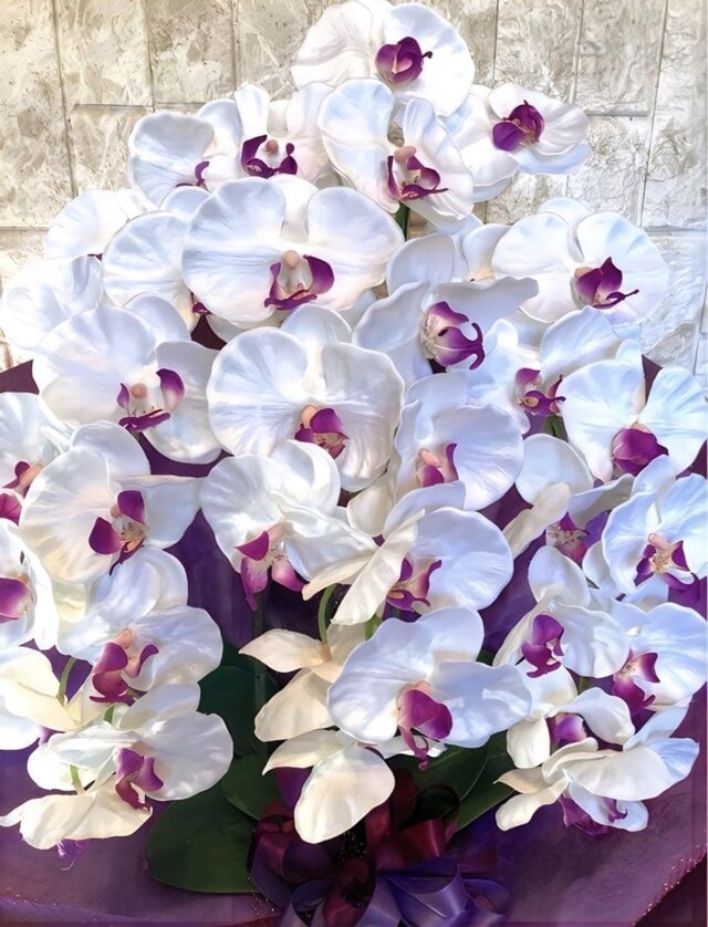 光触媒 人工観葉植物 ウォールグリーン フェイクグリーン 胡蝶蘭8155