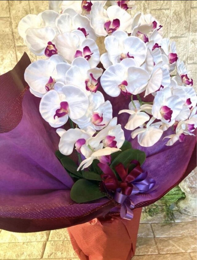 光触媒 人工観葉植物 ウォールグリーン フェイクグリーン 胡蝶蘭8155