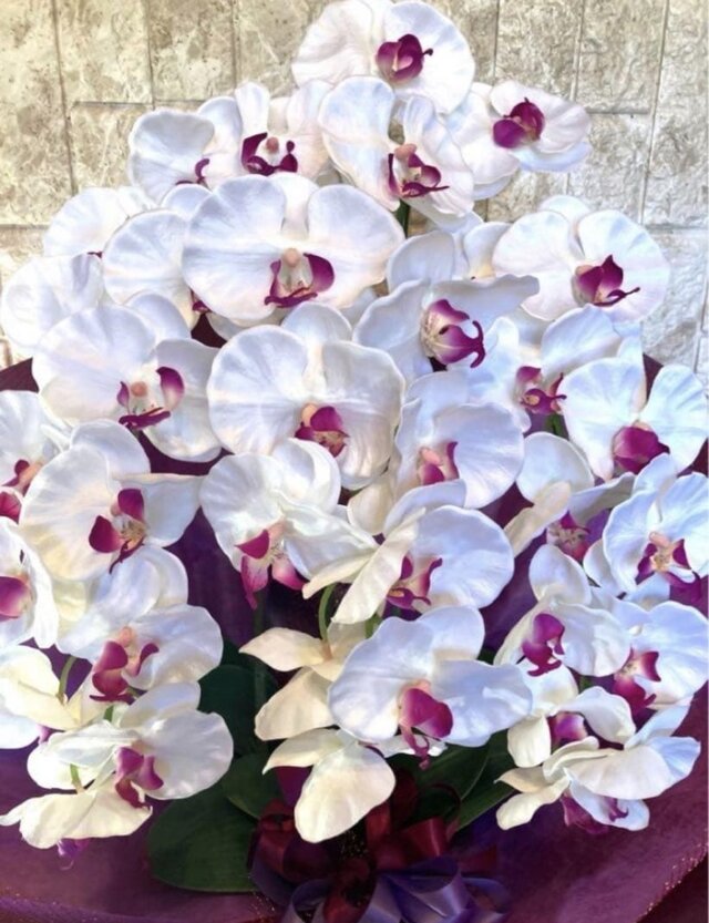 光触媒 人工観葉植物 ウォールグリーン フェイクグリーン 胡蝶蘭8155