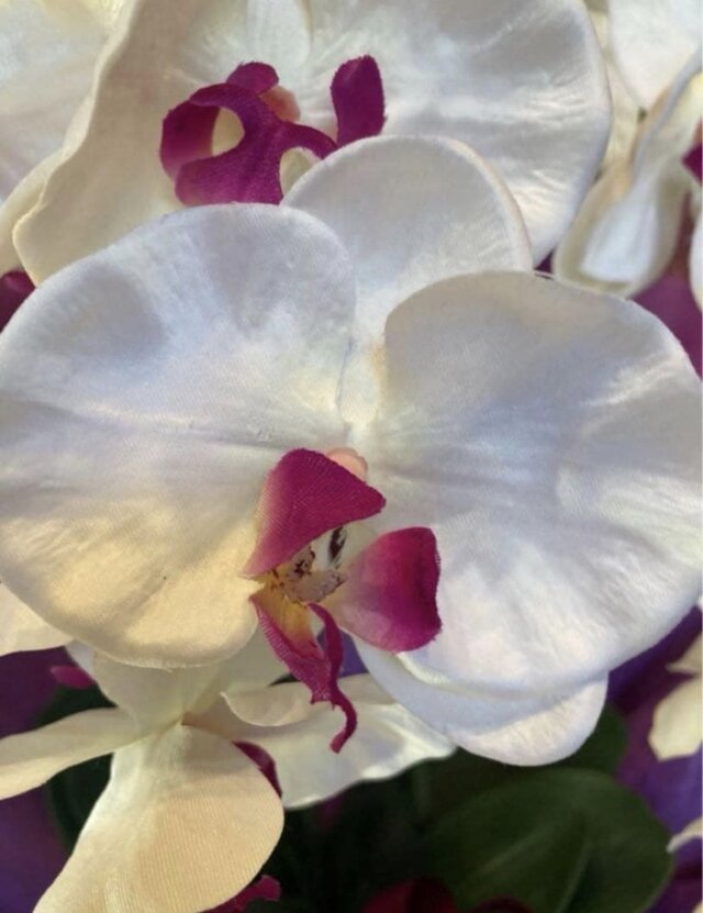 光触媒 人工観葉植物 ウォールグリーン フェイクグリーン 胡蝶蘭8155