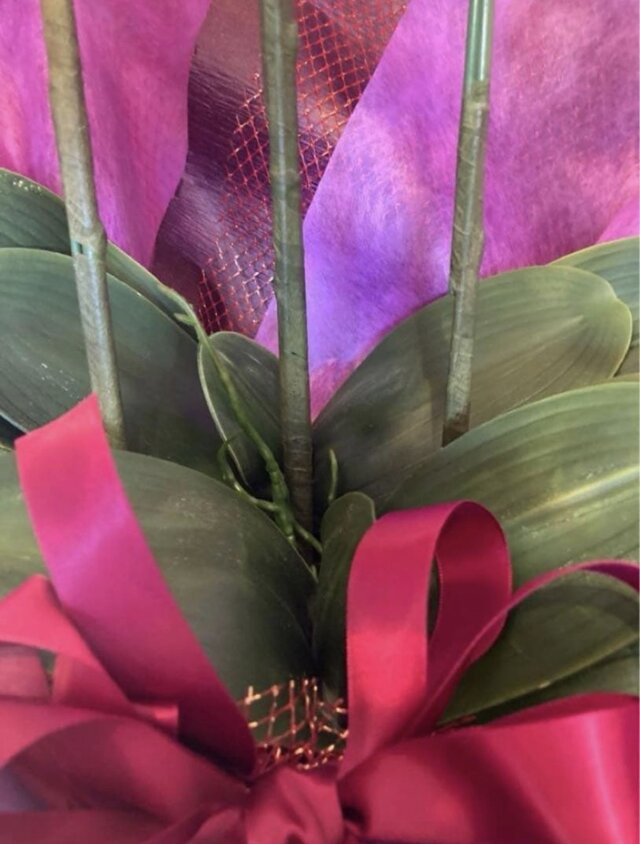 光触媒 人工観葉植物 ウォールグリーン フェイクグリーン 胡蝶蘭8155