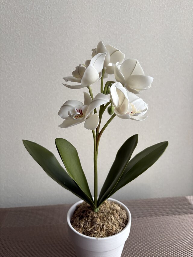 オールドマイセン 6つ花と蝶々　レリーフ 粘土の花 ミディ胡蝶蘭 | iichi 日々の暮らしを心地よくする