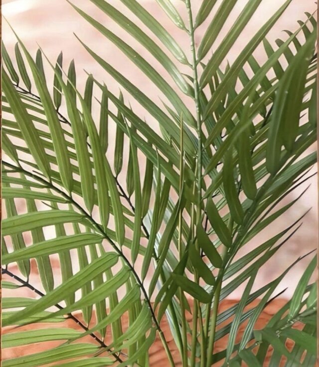 光触媒 人工観葉植物 ウォールグリーン フェイクグリーン アレカヤシ白