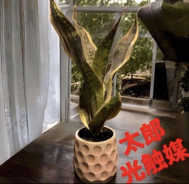 光触媒　人工観葉植物　ウォールグリーン　フェイクグリーン　サンスベリアグリーン 光触媒 人工観葉植物 ウォールグリーン フェイクグリーン サンセベリア