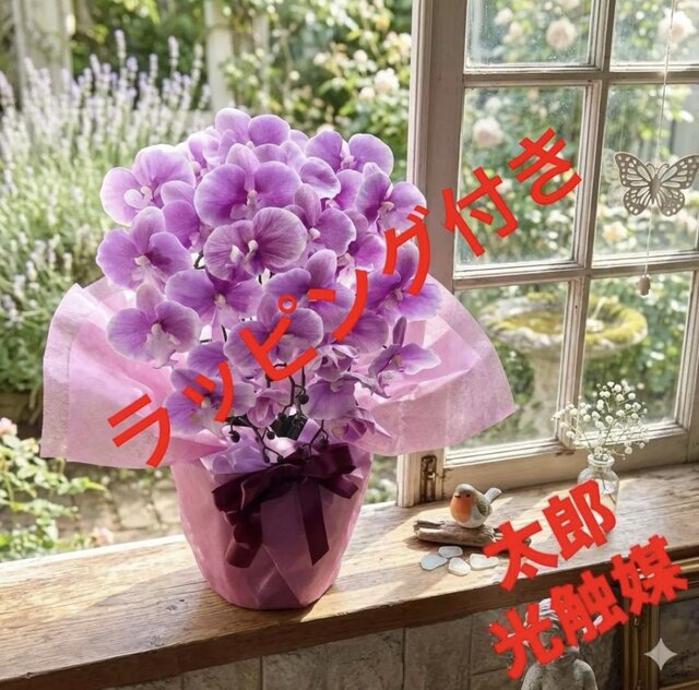 光触媒　人工観葉植物　フェイクグリーン　胡蝶蘭　ピュアオーキッド　ピンク 光触媒 人工観葉植物 ウォールグリーン フェイクグリーン 胡蝶蘭6142aj