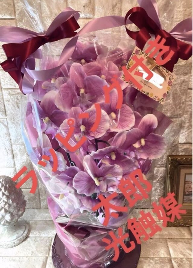 光触媒 人工観葉植物 ウォールグリーン フェイクグリーン 胡蝶蘭6142aj