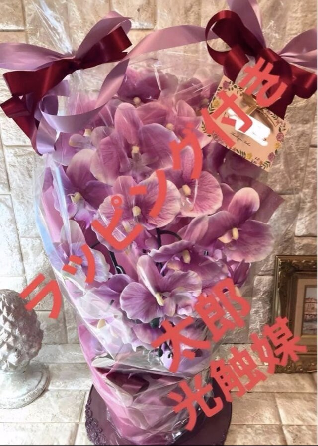 光触媒 人工観葉植物 ウォールグリーン フェイクグリーン 胡蝶蘭6142aj