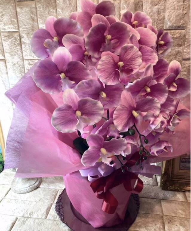 光触媒 人工観葉植物 ウォールグリーン フェイクグリーン 胡蝶蘭6142aj