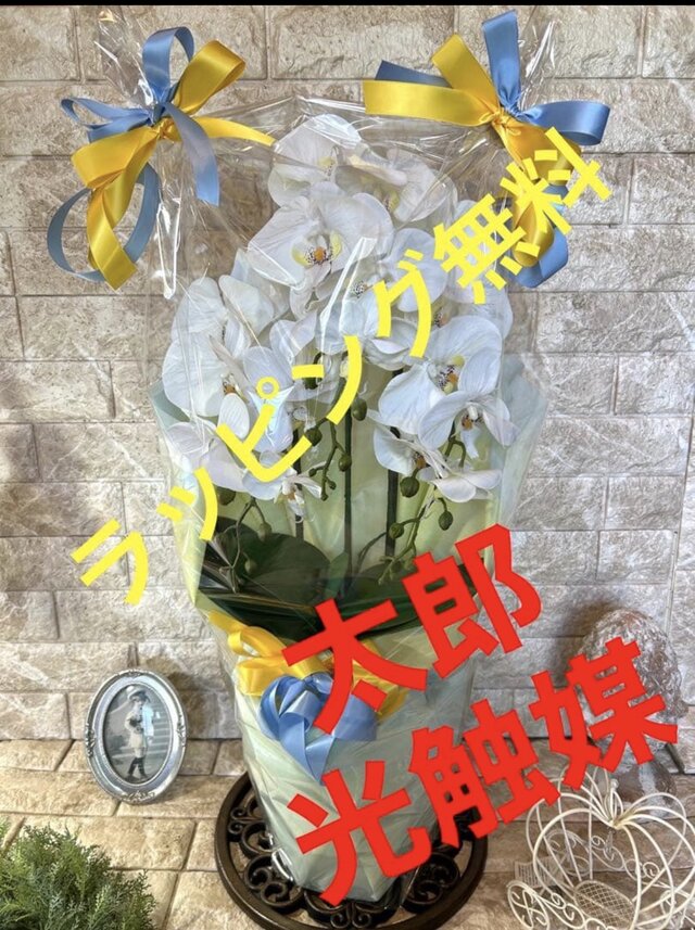 光触媒 人工観葉植物 ウォールグリーン フェイクグリーン 胡蝶蘭7035aj 