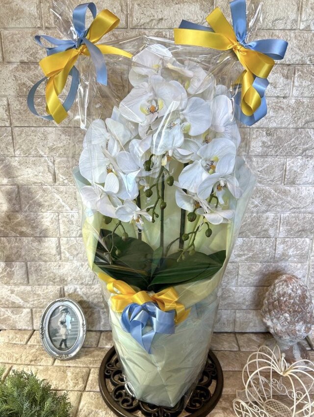 光触媒 人工観葉植物 ウォールグリーン フェイクグリーン 胡蝶蘭7035aj 