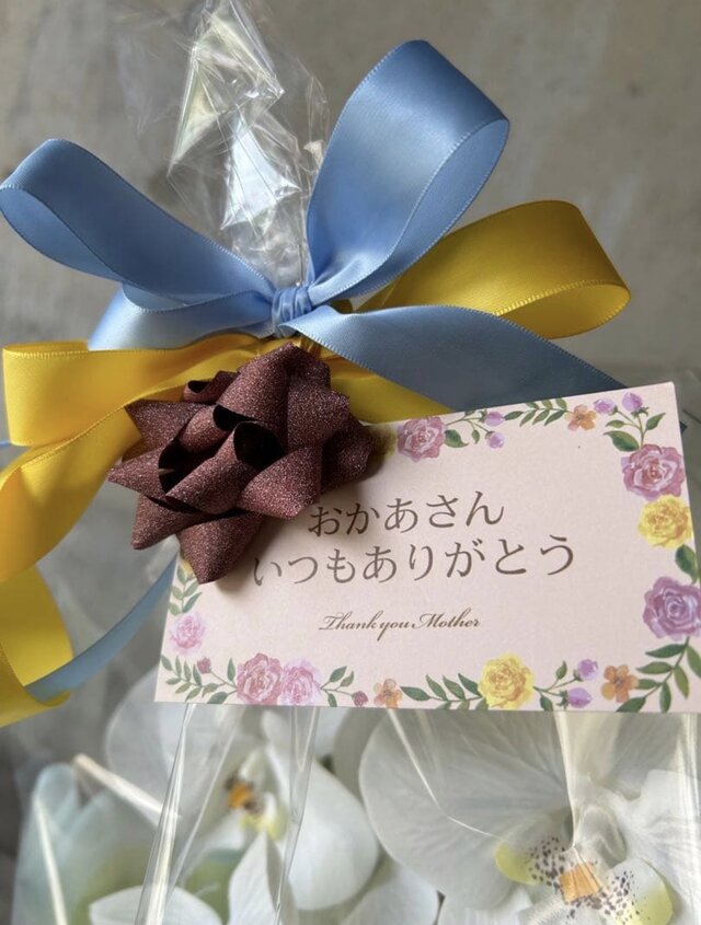 光触媒 人工観葉植物 ウォールグリーン フェイクグリーン 胡蝶蘭7035aj 