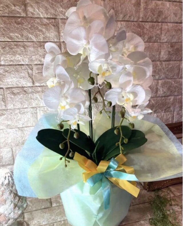 光触媒 人工観葉植物 ウォールグリーン フェイクグリーン 胡蝶蘭7035aj 
