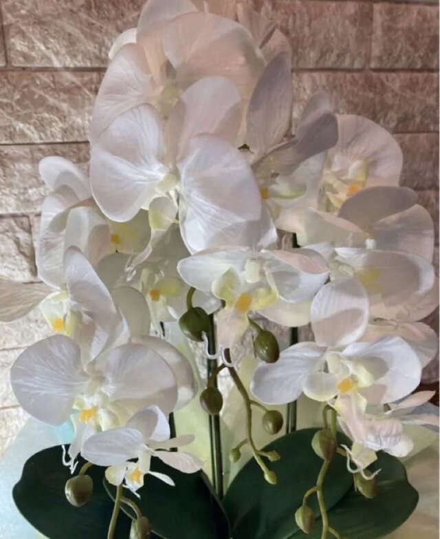 光触媒 人工観葉植物 ウォールグリーン フェイクグリーン 胡蝶蘭7035aj 