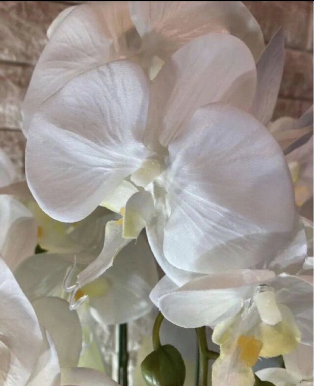 光触媒 人工観葉植物 ウォールグリーン フェイクグリーン 胡蝶蘭7035aj 