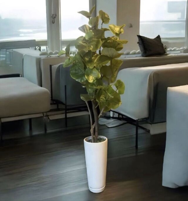 光触媒 人工観葉植物 ウォールグリーン フェイクグリーン スリムパキラ 