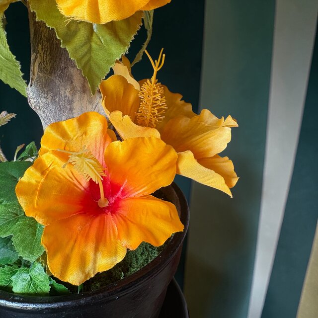光触媒 人工観葉植物 ウォールグリーン フェイクグリーン ハイビスカス
