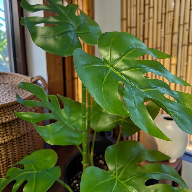 光触媒 人工観葉植物 ウォールグリーン フェイクグリーン モンステラ