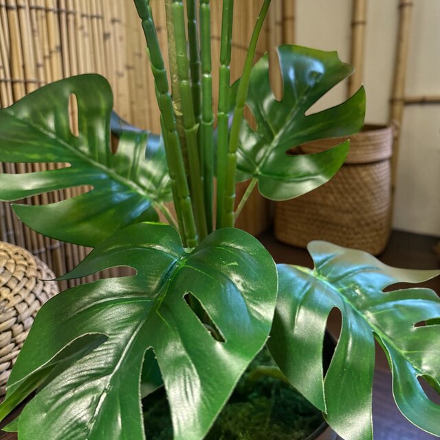 光触媒　人工観葉植物　ウォールグリーン　フェイクグリーン　モンステラポット180 光触媒 人工観葉植物 ウォールグリーン フェイクグリーン モンステラ