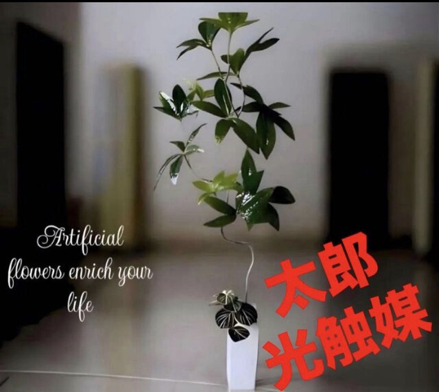 光触媒 人工観葉植物 ウォールグリーン フェイクグリーン ニューパキラ