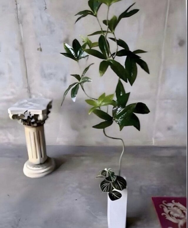 光触媒 人工観葉植物 ウォールグリーン フェイクグリーン ニューパキラ