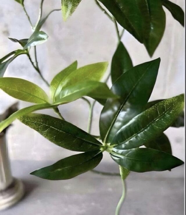 光触媒 人工観葉植物 ウォールグリーン フェイクグリーン ニューパキラ