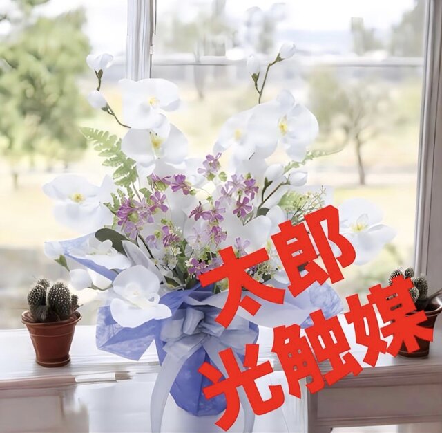 光触媒 人工観葉植物 ウォールグリーン フェイクグリーン 清和 | iichi 