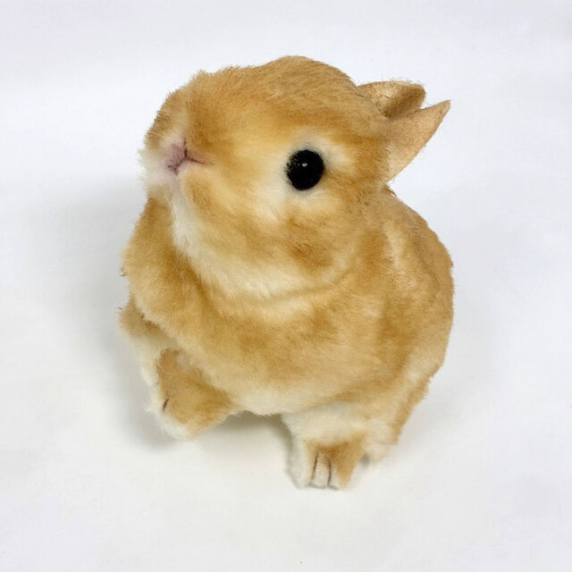 受注制作＞うさぎのぬいぐるみ ネザーランドドワーフの赤ちゃん