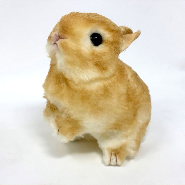 受注制作＞うさぎのぬいぐるみ ネザーランドドワーフの赤ちゃん