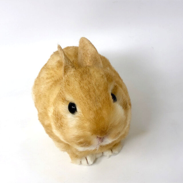 受注制作＞うさぎのぬいぐるみ ネザーランドドワーフの赤ちゃん