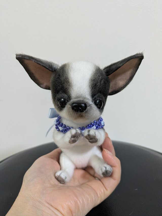 ぬいぐるみ☆チワワ☆子犬☆白×黒 | iichi 日々の暮らしを心地よくする